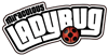Miraculous Ladybug