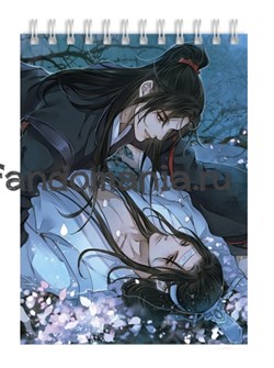 Блокнот "Магистр дьявольского культа" (Mo Dao Zu Shi) 8637 - фото 22594