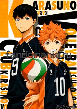 Постер "Волейбол" (Haikyuu!) 13028 - фото 31374