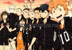 Постер "Волейбол" (Haikyuu!) 13029 - фото 31376