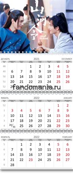 Календарь квартальный "Далекие странники" 2025 год 11345 - фото 34279