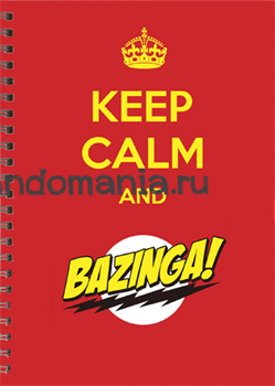 Блокнот "Bazinga" (Теория большого взрыва) ВТ015BL0 - фото 6054