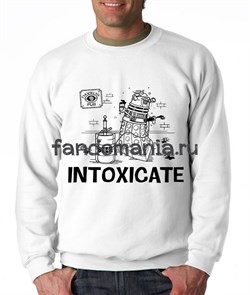 Свитшот  "Intoxicate" (Доктор кто) DH020TL1 - фото 9046