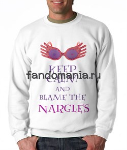 Свитшот "Blame the Nargles" (Гарри Поттер) HP039TL1 - фото 9078