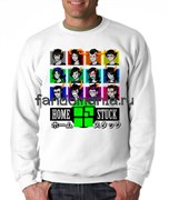 Свитшот "Хоумстак" (Homestuck) 5632