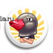 Значок "Иван Гай"  6163