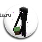 Значок "Minecraft" (Майнкрафт)     6223