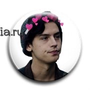 Значок "Ривердейл" (Riverdale) 8621