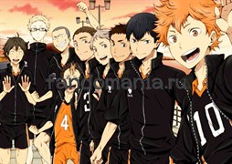 Постер "Волейбол" (Haikyuu!) 13029