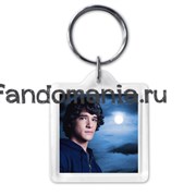 Брелок "Волчонок"  TW010KC0