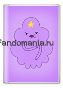 Обложка на паспорт "Принцесса Пупырка" (Время приключений) AT054PS0