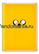 Обложка на паспорт "Финн и Джейк" (Время приключений) AT055PS0
