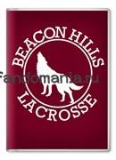 Обложка на паспорт "Beacon Hills" (Волчонок) TW032PS0
