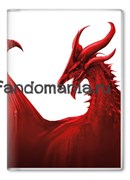 Обложка на паспорт "Dragon Age" KG096PS