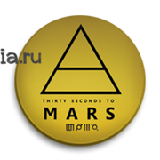 Значок "Триада" (30 Seconds To Mars) MZ002BA0