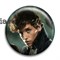 Значок "Фантастические твари: Преступления Гриндевальда" (Fantastic Beasts: The Crimes of Grindelwald) 8296 - фото 21237