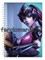 Блокнот "Overwatch" 10780 - фото 24746